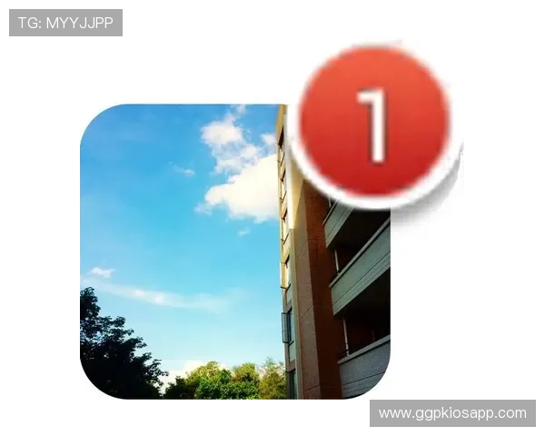 开云体育官方网站入口:多种登录方式选择与优化体验的实用建议 开云体育官方网站入口:多种登录方式选择与优化体验的实用建议