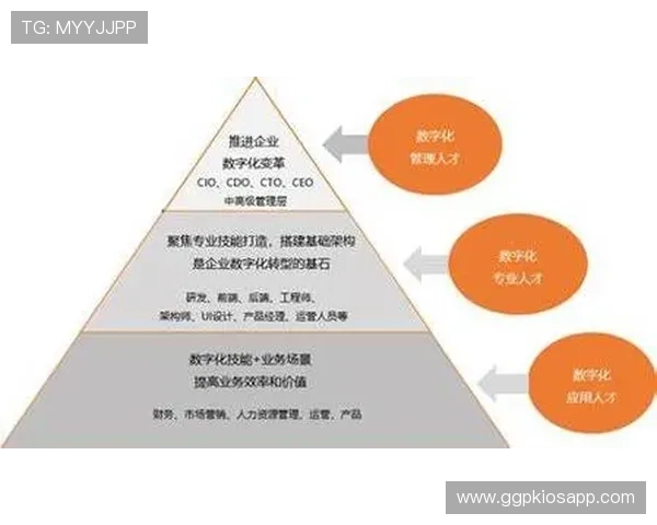 大众在线娱乐：从传统到数字化的转型之路与成功案例