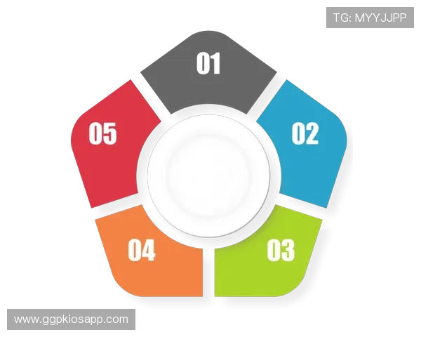 必赢旗舰网站为用户提供一站式解决方案的全面介绍 必赢旗舰网站为用户提供一站式解决方案的全面介绍